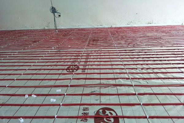 1603872204898330.jpg 20cab201e3a0b2d4ed882b3d72b4af9.jpg