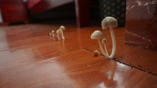 潮濕的地下室對人體有哪些危害？